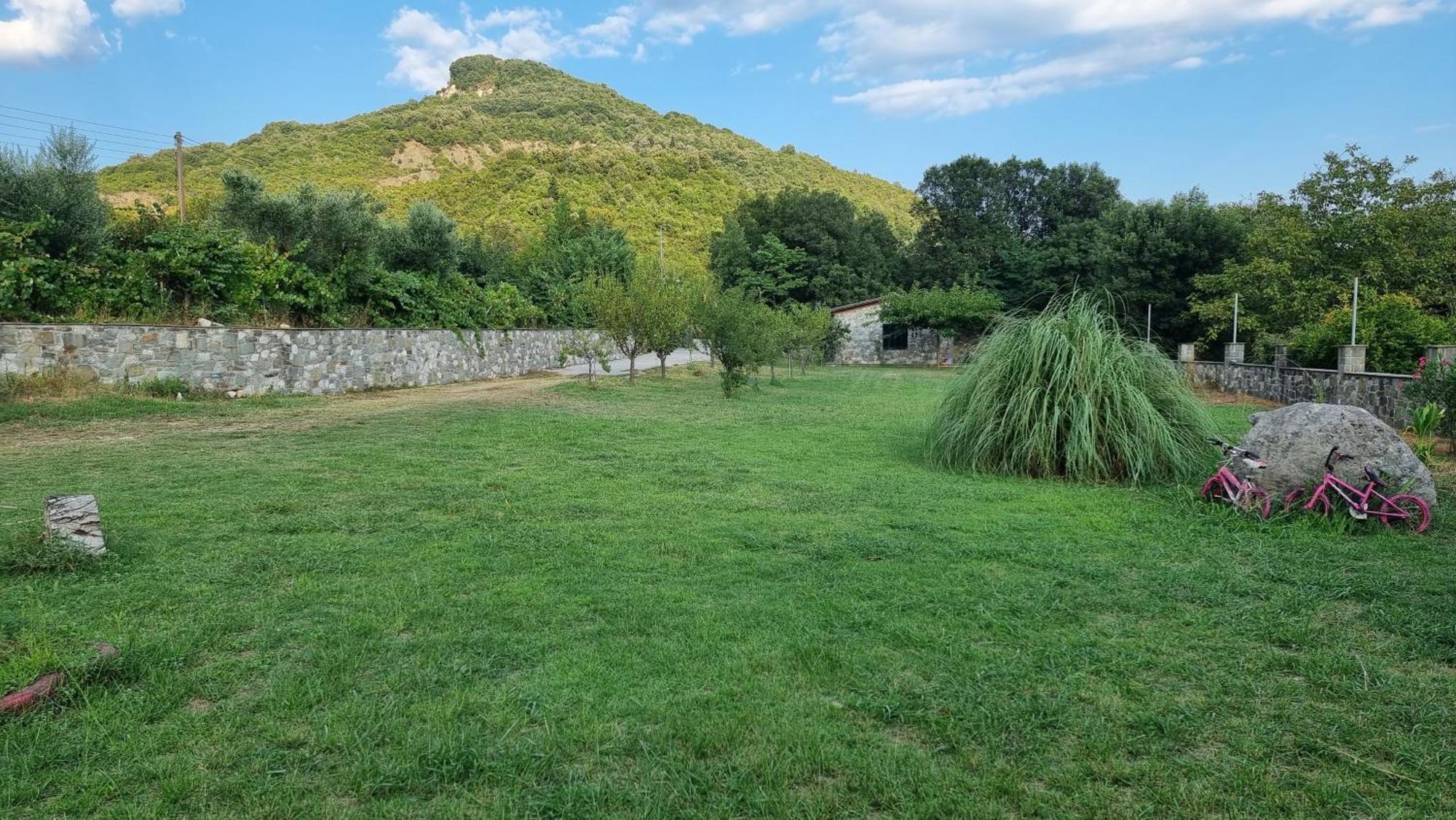 House With Big Garden And Barbeque In Nature Vourgareli Exterior photo