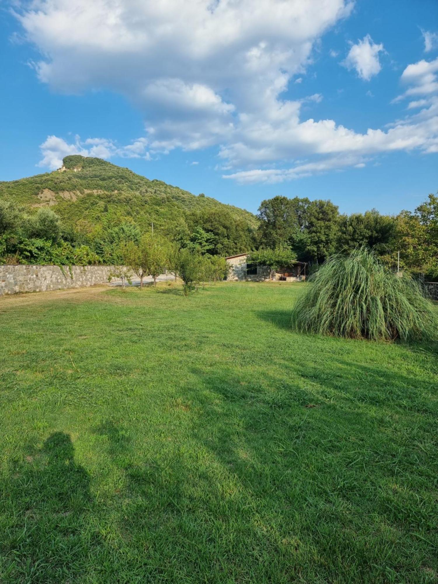 House With Big Garden And Barbeque In Nature Vourgareli Exterior photo