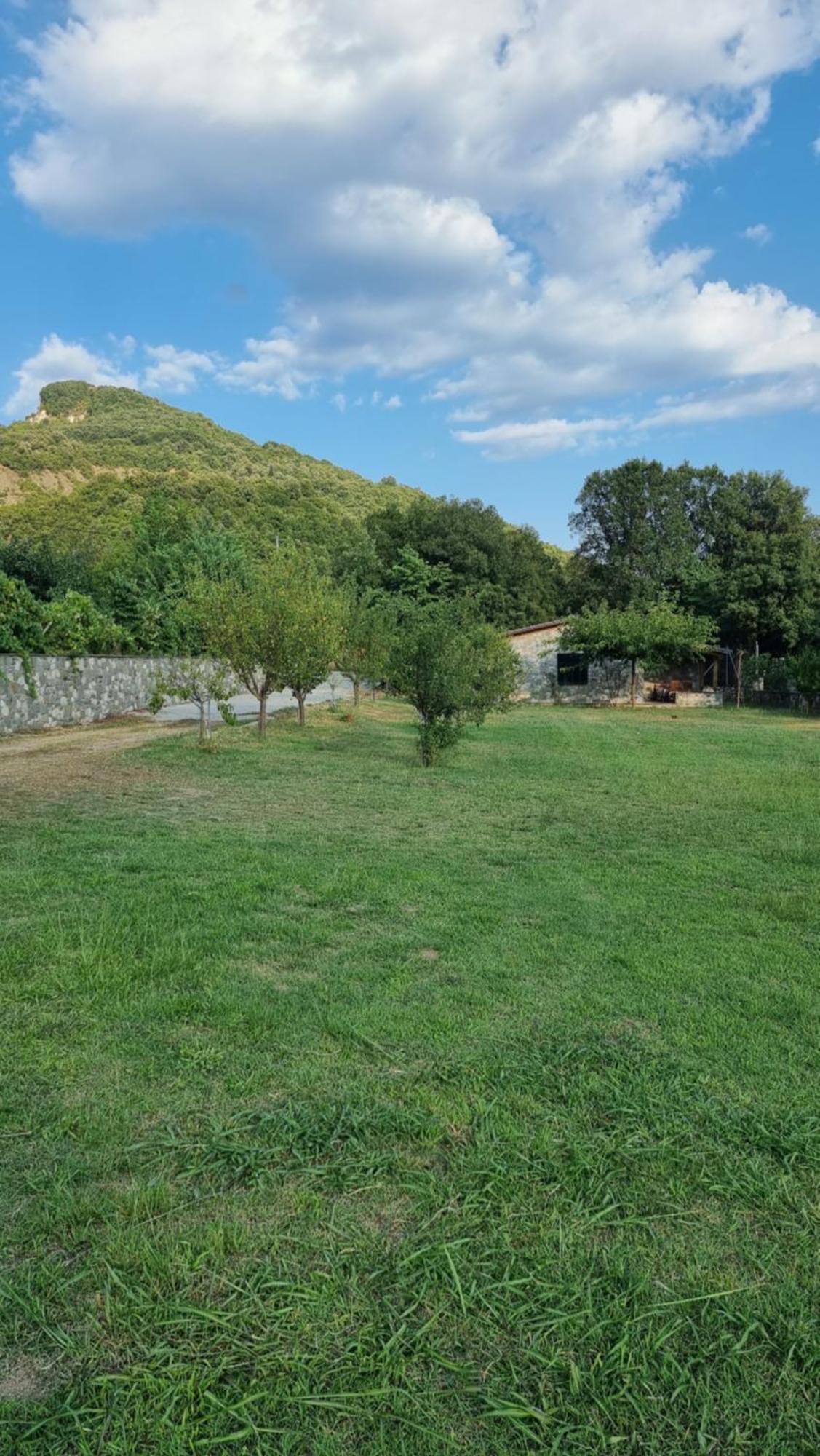 House With Big Garden And Barbeque In Nature Vourgareli Exterior photo