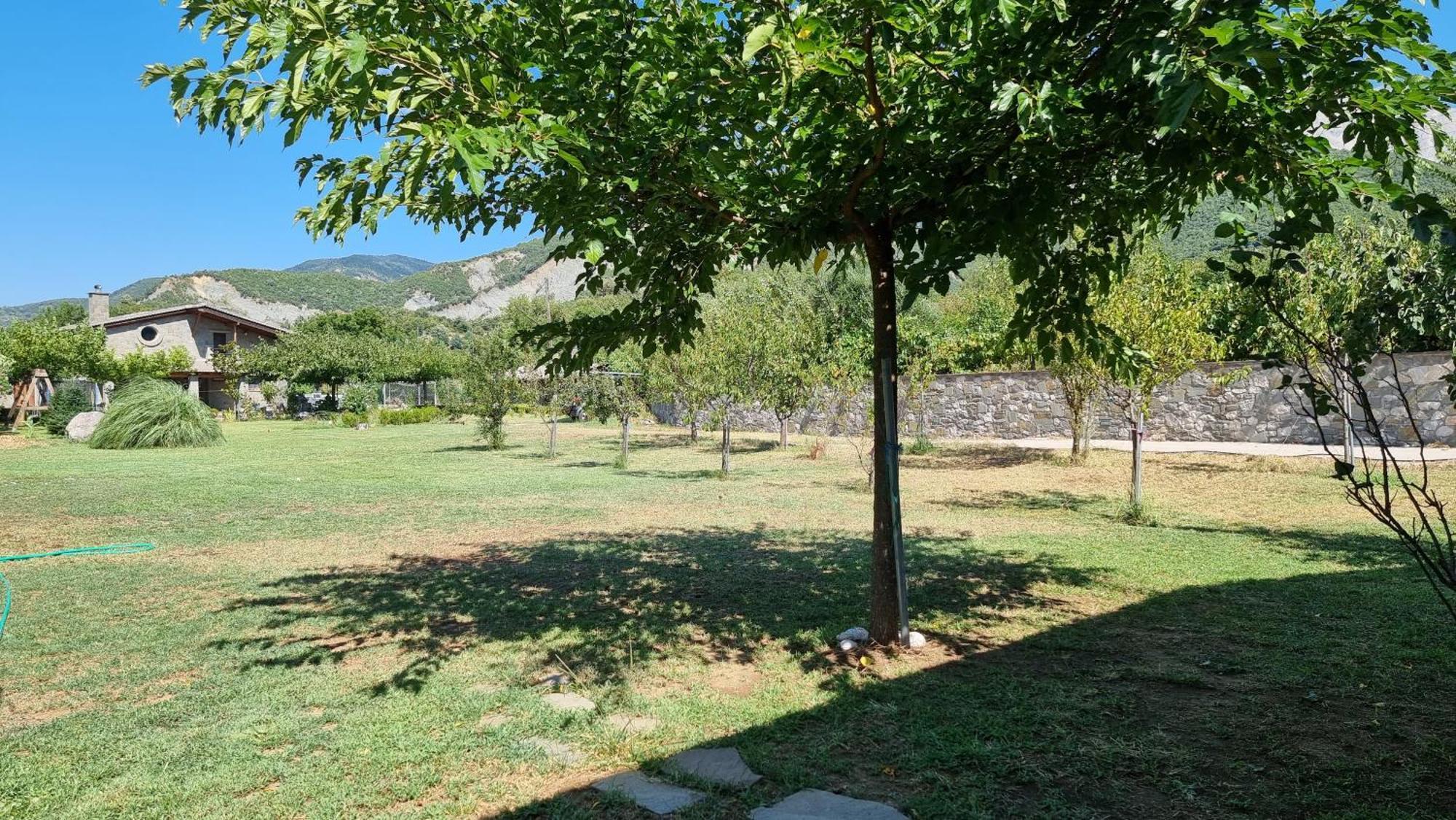 House With Big Garden And Barbeque In Nature Vourgareli Exterior photo